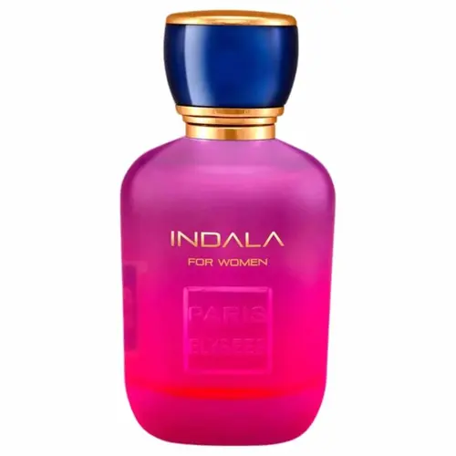 PERFUME EAU DE  TOILETTE  PARIS  ELYSEEES FEMININO INDALA 100ML
