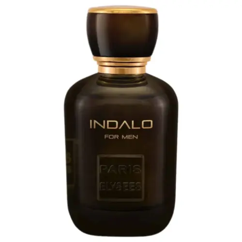 PERFUME PARIS INDALO  FOR MEN 100ML
