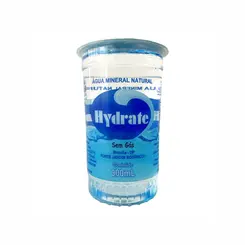 AGUA MINERAL COPO SEM GAS DIVERSAS 300ML